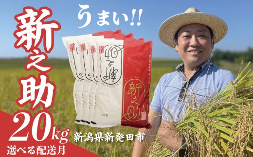 【12月発送】 令和7年産 新之助 20kg 5kg×4袋 新米 お米 こめ ご飯 ごはん おいしい 新潟 新潟県 米 5kg 20kg 新発田産 新潟産 朝食 昼食 夕飯 炊きたて 精米 ブランド watasho009_202512