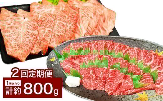 【2カ月定期便】 【赤身 VS ミスジ 食べ比べ！】 おおいた和牛 赤身焼肉・ミスジ焼肉 約800g×2回 計約1.6kg
