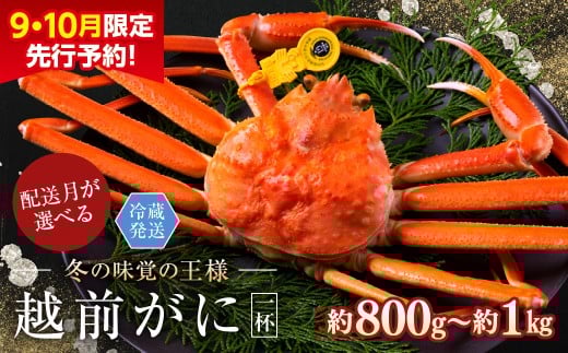 【2026年1月発送・月指定可】【先行予約 9月10月限定】越前がに（オス）「ずわいがに」 大サイズ（800g-1kg） 1杯