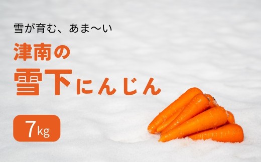 【令和8年産先行予約】津南の雪下にんじん 7kg 新潟県 津南町