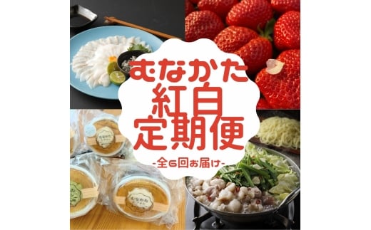 【年6回／偶数月お届け】むなかたの魅力をたっぷりお届け!むなかた紅白定期便_HB0201