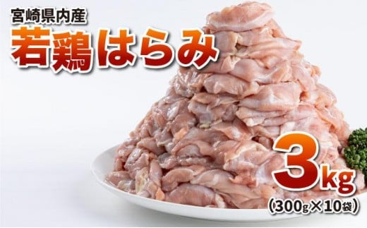 若鶏はらみ3kgセット 2288106 - 宮崎県串間市