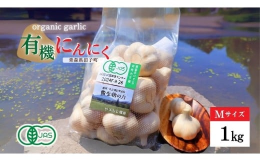 やまもと農産のオーガニックにんにく Mサイズ 1kg
