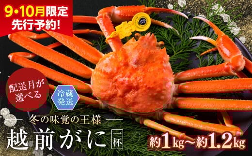 【年内発送・指定日着可】【先行予約 9月10月限定】越前がに（オス）「ずわいがに」特大サイズ（1.0-1.2kg） 1杯