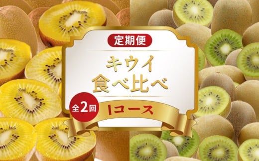 旬のフルーツ 定期便 2回 Iコース 果物 フルーツ さぬきゴールドキウイ キウイっこ グリーンキウイ キウイ デザート スイーツ ケーキ ゼリー アイス ジェラート ふるさと納税定期便 ふるさと納税フルーツ ギフト 贈答 送料無料 ふるさと納税 香川県 丸亀市