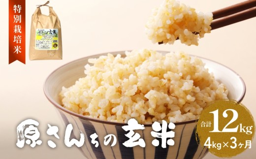 令和7年度産 原さんちの玄米 4kg ヒノヒカリ 3ヶ月 定期便 ヒノヒカリ 有機質肥料 特別栽培米 原農園 完熟堆肥 アートテン農法 抗酸化農法 有効微生物農法 光合成 体に良い 美味しい お米 安全 清潔 環境に優しい 栄養価 高品質 産地直送 健康志向 農産物