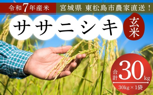 【 令和7年産】【新米】ササニシキ  玄米 30kg × 1袋 宮城県産東松島市農家直送 ささにしき 米 ご飯 ごはん おにぎり お弁当 お米 こめ 宮城県 東松島市 オンラインワンストップ 自治体マイページ