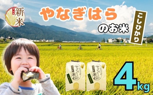 【先行予約】＜令和7年産新米＞ 特別栽培米  「やなぎはらの米 こしひかり」4㎏ (7-66)