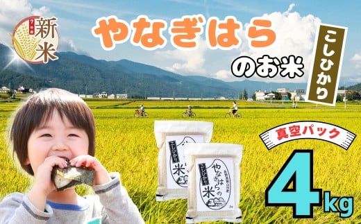 【先行予約】＜令和7年産新米＞特別栽培米  「やなぎはらの米 こしひかり」4㎏（真空包装） (7-67)