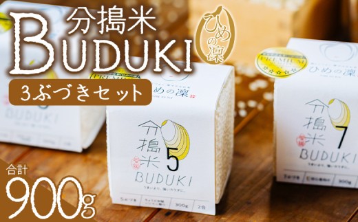 ＜分搗米「BUDUKI」ひめの凜 「3ぶづき」2合入り×3個（900g）＞ ひめのりん 分づき米 ぶづき米 ぶずき米 お米 コメ こめ 選べる 3分づき 玄米 精米 ご飯 もとき農園 愛媛県 西予市【常温】『令和7年11月中旬より順次発送予定』 2290479 - 愛媛県西予市