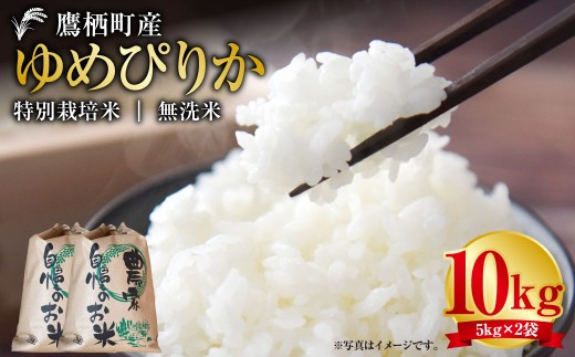 【令和7年産】 ゆめぴりか （無洗米） 5kg×2袋 北海道 鷹栖町 たかすタロファーム 米 コメ こめ ご飯 白米 お米 ゆめぴりか 無洗米 2289828 - 北海道鷹栖町