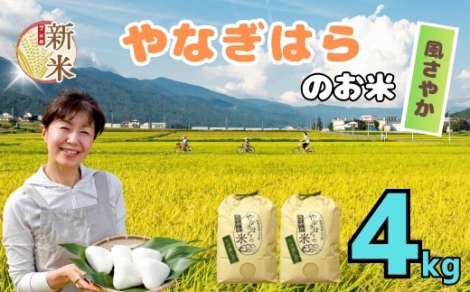 [先行予約][令和7年産新米] 特別栽培米「やなぎはらの米 風さやか」4kg (7-69)