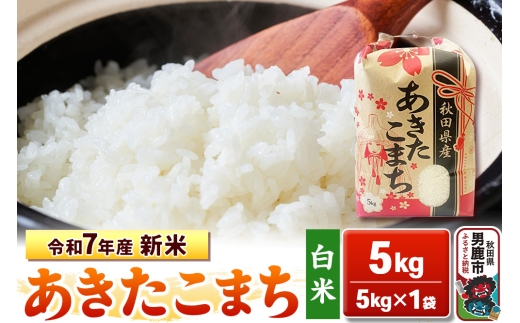 令和7年産 新米【白米】秋田県産 あきたこまち 5kg 秋田県 男鹿市 こまちライン 2129364 - 秋田県男鹿市