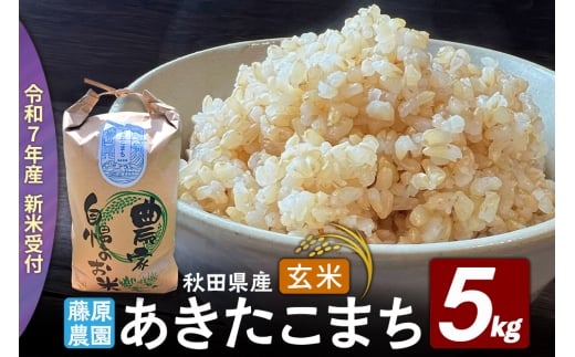 米【令和７年産 新米予約】秋田県北秋田市産 あきたこまち 玄米5kg
