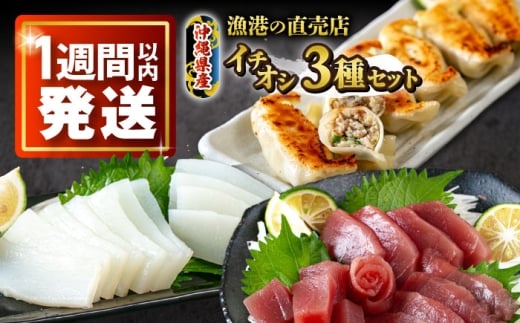パヤオセット (冷凍キハダマグロ1kg / セーイカ0.6kg / マグロギョーザ24個) 沖縄市 / 沖縄市漁業協同組合 パヤオ直売店 [BCDZ004]