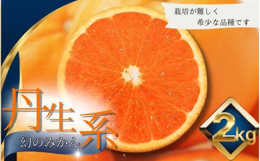 【L～3Lサイズおまかせ】※秀優混合 丹生系みかん 2kg ※箱込み【2026年2月初旬から2月下旬頃までに順次出荷】＜味好農園＞/ 丹生系 にゅうけい みかん 柑橘 果物 フルーツ ミカン 訳あり 秀品 優品【agy029A】 1979764 - 和歌山県紀美野町