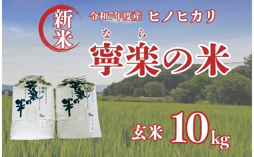 令和7年度産 新米 ヒノヒカリ 玄米 寧楽の米 数量限定【10kg】ひのひかり 精米 白米 ご飯 ごはん 米 お米  農家 直送  奈良県 奈良市 なら 25-030 2289754 - 奈良県奈良市
