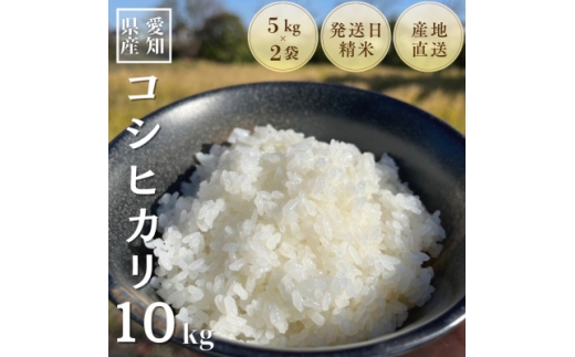 農家直送!令和7年度産低農薬コシヒカリ10kg(5kg×2袋)【1428167】 1036909 - 愛知県岡崎市