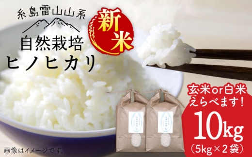 【令和7年産新米予約】【白米】自然栽培ヒノヒカリ10kg《糸島》【大石ファーム】【2025年11月中旬以降順次発送】 [ATE002-1] 408641 - 福岡県糸島市