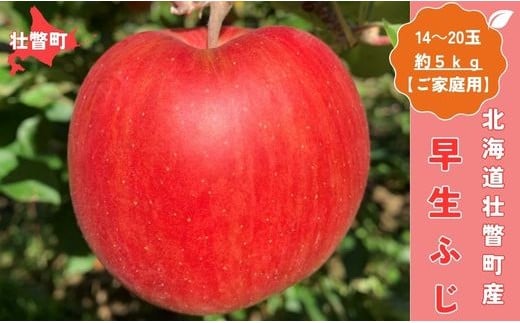 ＜10月中旬頃よりお届け＞北海道壮瞥産りんご 早生ふじ 約5kg(14～20玉)【ご家庭用】 【ふるさと納税 人気 おすすめ ランキング りんご リンゴ 林檎 ふじ 早生ふじ 甘い 果物 北海道 壮瞥町 送料無料】 SBTK013