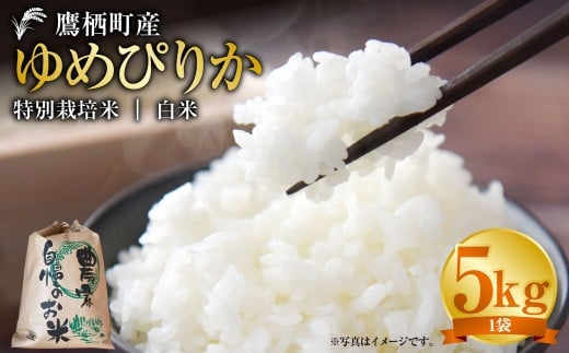 【令和7年産】 ゆめぴりか （白米） 5kg 北海道 鷹栖町 たかすタロファーム 米 コメ こめ ご飯 白米 お米 ゆめぴりか コメ 白米  2289825 - 北海道鷹栖町