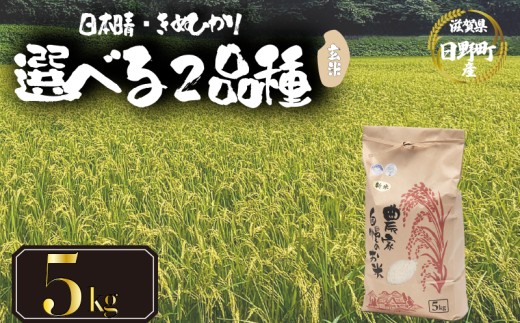 [ 令和7年産 新米 5kg ] 選べる 品種 日本晴 きぬひかり 米 玄米 2025年産 にほんばれ キヌヒカリ 国産 滋賀県 日野町 農家直送 お米 おこめ こめ 産地直送 ふるさと納税
