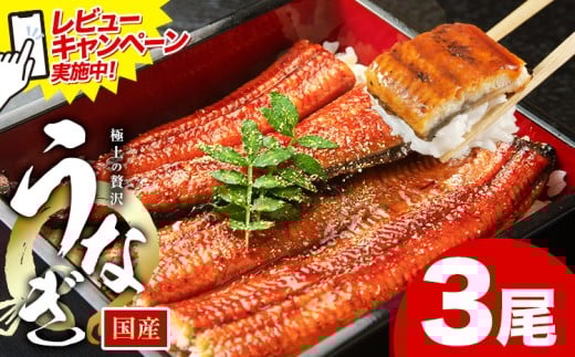 レビューキャンペーン実施中！ うなぎ 鰻 ご家庭用  3尾 (サイズ不選別：1尾当たり140g-180g) 福岡県産 鰻の蒲焼き 数量限定 株式会社HOMIE《1月上旬-1月末頃出荷》福岡県 鞍手郡 鞍手町 鰻 蒲焼き 数量限定 国産 蒲焼 うなぎ蒲焼