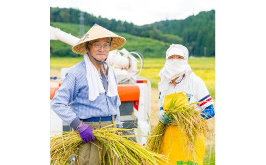 ＜毎月定期便＞関川村産こしひかり5kg ふっくら美味しさ 岩船米 [横山農産]全12回【4073326】