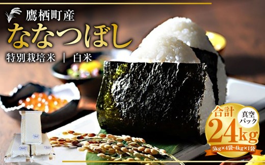 【令和7年産】 ななつぼし （白米） 真空パック 24kg 北海道 鷹栖町 たかすタロファーム 米 コメ こめ ご飯 白米 お米 ななつぼし コメ 白米