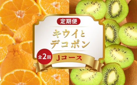 旬のフルーツ 定期便 2回 Jコース 果物 フルーツ デコポン 不知火 みかん 柑橘 蜜柑 香緑 キウイフルーツ グリーンキウイ キウイ デザート スイーツ ケーキ ふるさと納税定期便 ふるさと納税フルーツ ギフト 贈答 送料無料 ふるさと納税 香川県 丸亀市