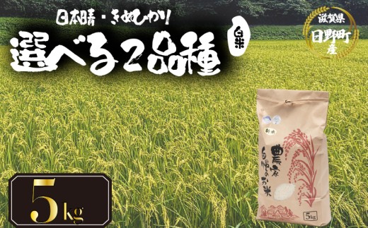 [ 令和7年産 新米 5kg ] 選べる 品種 日本晴 きぬひかり 米 白米 2025年産 にほんばれ キヌヒカリ 国産 滋賀県 日野町 農家直送 お米 精米 おこめ こめ 産地直送 ふるさと納税