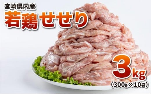 若鶏小肉(せせり) 3kgセット 2288105 - 宮崎県串間市