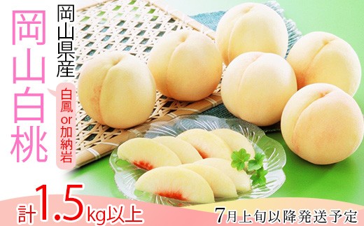 白桃5〜7玉(白鳳もしくは加納岩)[2026年7月上旬〜7月中旬発送予定]