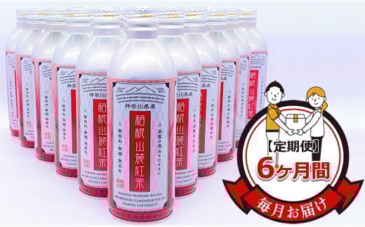 ★レビューキャンペーン実施中★【定期便】毎月お届け（6ヶ間）：箱根山麓紅茶リシール缶490ｇ×24本入【お茶 足柄茶 神奈川県 南足柄市 】