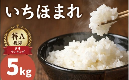 【先行予約】【令和7年度産　新米】いちほまれ 5kg×1袋（計5kg）【2025年11月下旬より順次発送】