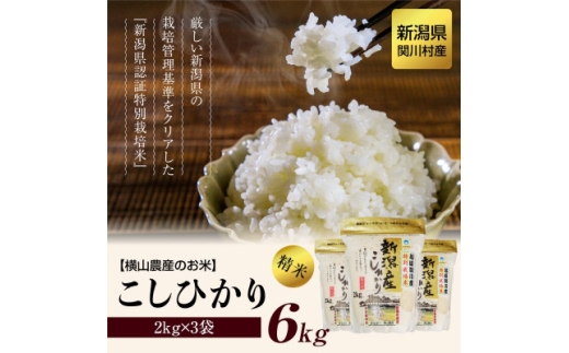 ＜毎月定期便＞関川村産こしひかり6kg(2kg×3袋) ふっくら美味しさ 岩船米 [横山農産]全6回【4073867】