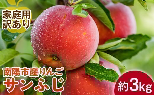 【令和7年産先行予約】 〈訳あり品 家庭用〉 りんご ｢サンふじ｣ 約3kg (8～12玉前後) 《令和7年11月下旬～発送》 『平農園』 リンゴ 果物 フルーツ 産地直送 生産農家直送 山形県 南陽市 [1650] 432670 - 山形県南陽市