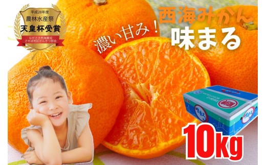 西海みかん｢味まる｣(10kg) / 糖度12度以上 佐世保 長崎  温州みかん ミカン 旬 甘い 家庭用 自宅用 送料無料 長崎県産 常温 ブランドみかん JA 農協 2270658 - 長崎県佐世保市