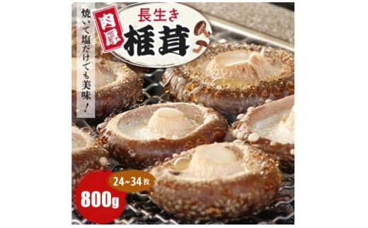 焼いて塩だけでも美味!「肉厚」長生き椎茸800g(24～34枚)×1パック【1665538】