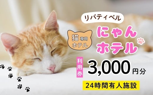 【長野県飯山市】にゃんほてる（猫専用ペットホテル） リベティベル 利用券3,000円分（T-17）