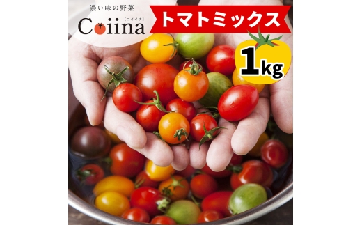[2025年12月下旬より発送] Coiinaトマトミックス 厳選！詰め合わせセット 1kg｜コイイナ コイーナ 濃い味 ブランドトマト リコピン アイメック栽培 甘い 旨い 食感が良い [0670]