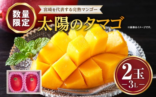《2026年発送先行予約》【数量・期間限定】宮崎特産品 宮崎県産完熟マンゴー 太陽のタマゴ 3L×2玉_M275-012 1983112 - 宮崎県宮崎市