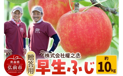 【25年10月～発送】りんご 權之丞farm 早生ふじ 贈答用 約10kg（24～40玉程度）【レビューキャンペーン】