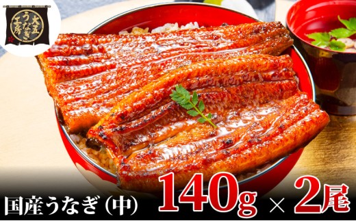 [№5695-1751]【期間限定9月30日までの特別価格！】うなぎ蒲焼 140g×2尾(280g) うなぎ ウナギ 鰻 蒲焼 蒲焼き冷凍 国産 大五 大五通商 静岡 島田市