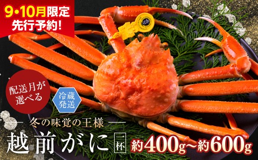【2026年3月発送・月指定可】越前がに（オス）「ずわいがに」（400g～600g） 1杯 2246609 - 福井県越前市