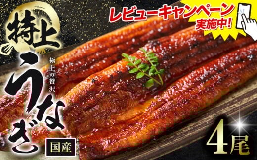 レビューキャンペーン実施中！ うなぎ 特上 鰻 福岡県産 鰻の蒲焼き 数量限定 4尾 HOMIE《45日以内に出荷予定(土日祝除く)》福岡県 鞍手郡 鞍手町 鰻 蒲焼き 数量限定 国産 蒲焼 うなぎ蒲焼