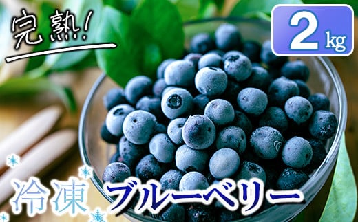 完熟 冷凍ブルーベリー　加工用途におすすめ