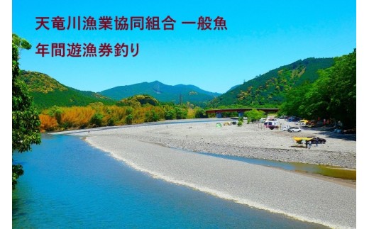 魚体の美しさや大きさは全国有数！
