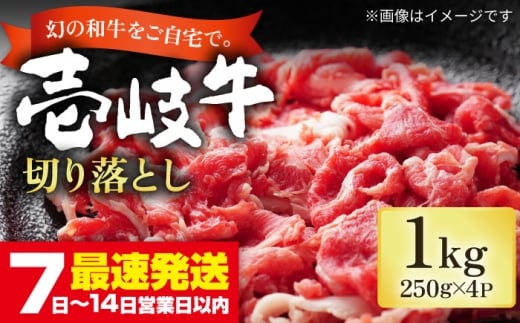 ステーキ 人気 和牛 壱岐牛 希少 柔らかい やわらかい 贈り物 ギフト 肉
