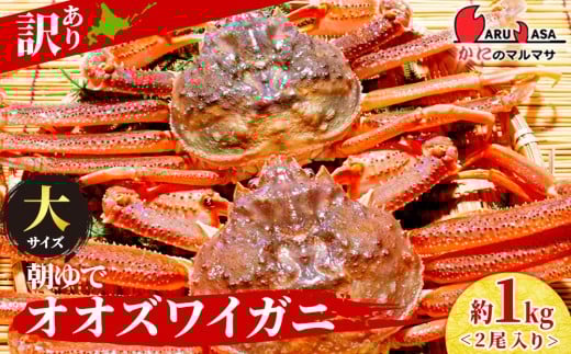北海道千歳市のふるさと納税 北海道産【 朝ゆで 】訳ありオオズワイガニ 1.0kg詰 ＜かにのマルマサ＞道産品 オオズワイ ズワイガニ ずわい蟹 カニ 蟹 規格外品 不揃い 訳アリ 訳有り